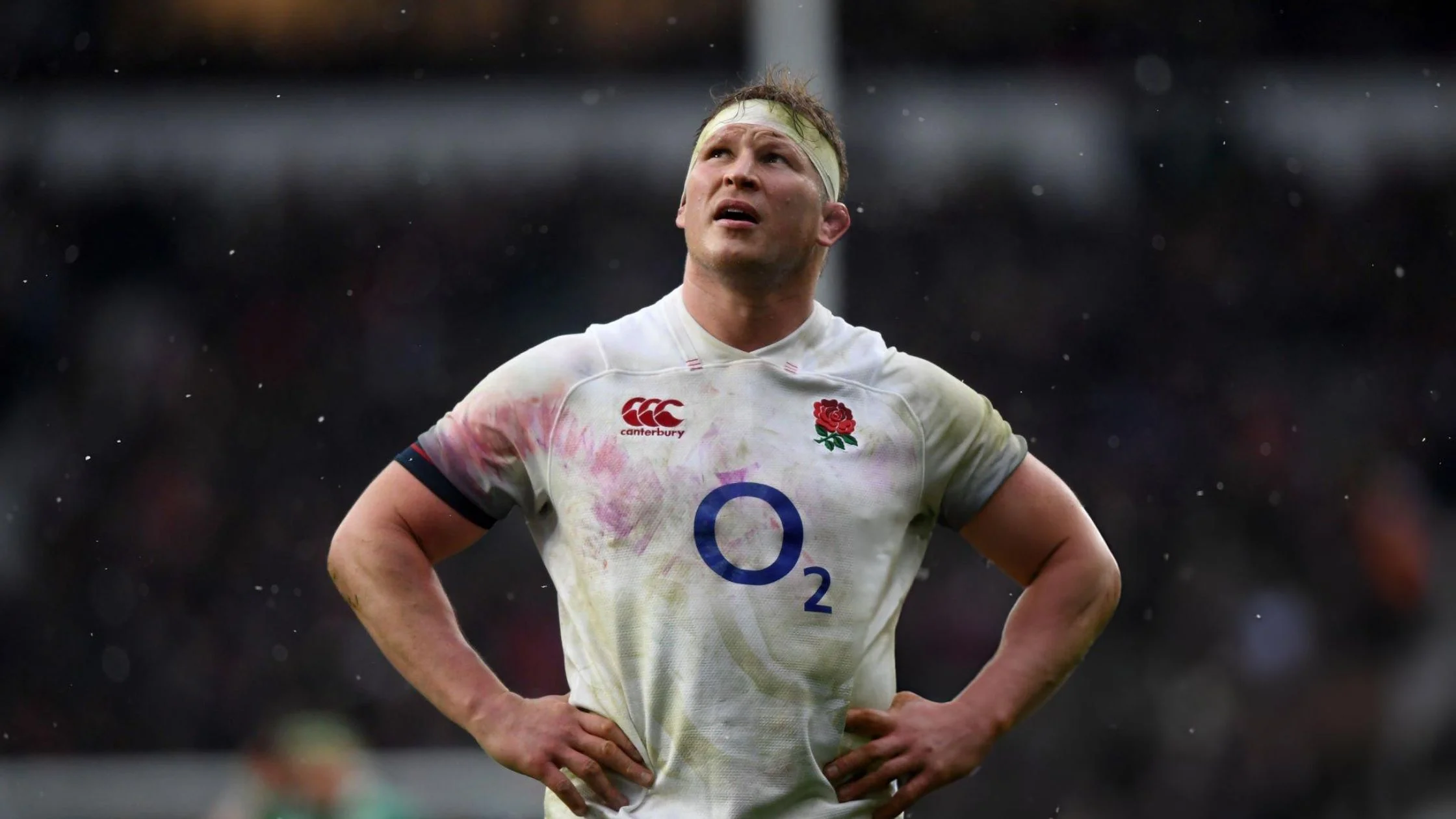 dylan hartley