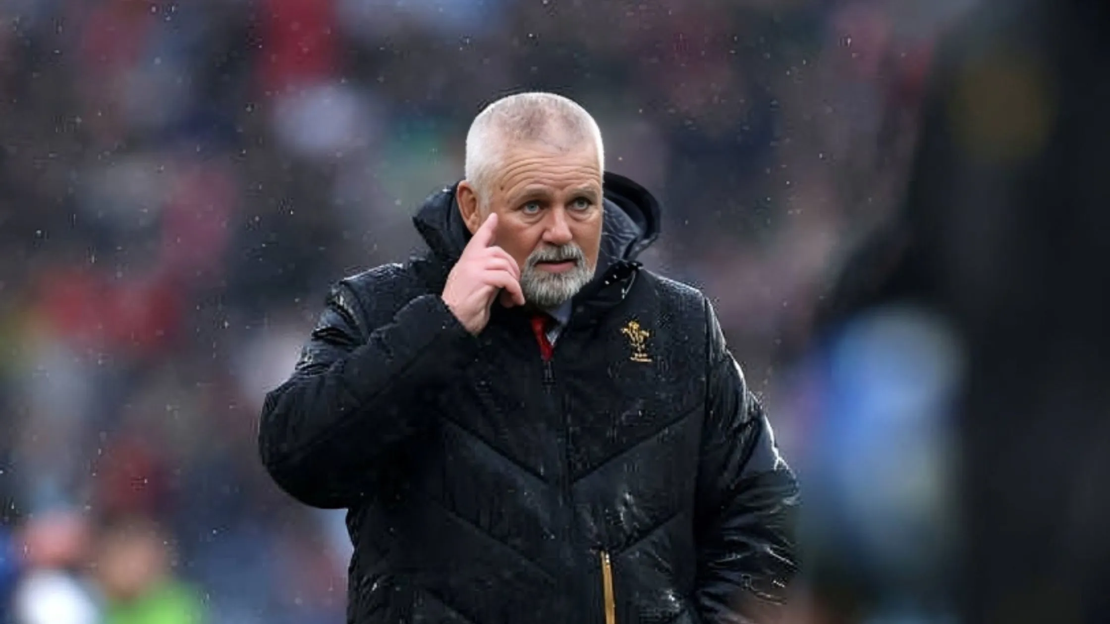 warren gatland